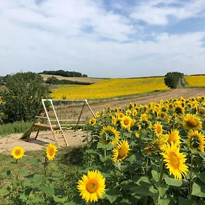 Les D'en Julio Puylaurens